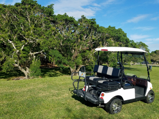 t-sport golf cart, t-sport golf car, rent t-sport golf cart, golf cart
