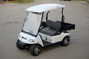 t-sport golf cart, t-sport golf car, rent t-sport golf cart, golf cart