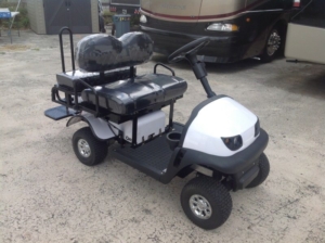 cricket mini golf cart, cricket mini carts, mini golf cart