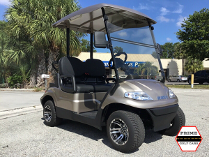 advanced ev 2 passenger golf cart, advanced ev golf cart palm beach