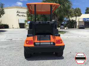 advanced ev 2 passenger golf cart, advanced ev golf cart palm beach