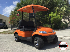 advanced ev 2 passenger golf cart, advanced ev golf cart palm beach