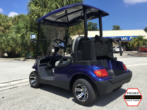 advanced ev 2 passenger golf cart, advanced ev golf cart palm beach
