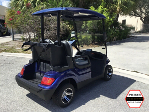advanced ev 2 passenger golf cart, advanced ev golf cart palm beach