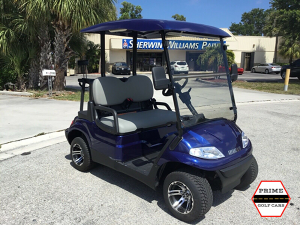 advanced ev 2 passenger golf cart, advanced ev golf cart palm beach