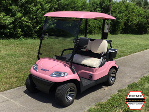 advanced ev 2 passenger golf cart, advanced ev golf cart palm beach
