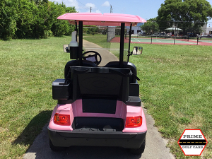 advanced ev 2 passenger golf cart, advanced ev golf cart palm beach