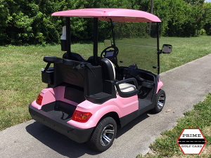 advanced ev 2 passenger golf cart, advanced ev golf cart palm beach