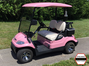 advanced ev 2 passenger golf cart, advanced ev golf cart palm beach