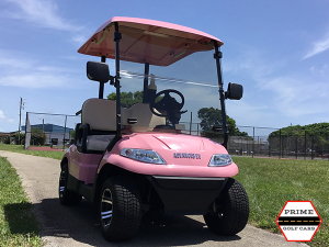advanced ev 2 passenger golf cart, advanced ev golf cart palm beach