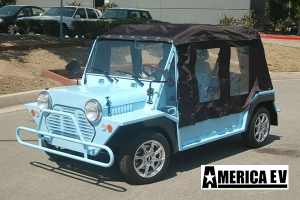 mokee golf cart, mokee golf car, mokee rental, golf cart rental, golf car