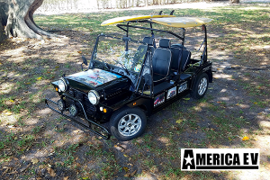 mokee golf cart, mokee golf car, mokee rental, golf cart rental, golf car