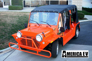 mokee golf cart, mokee golf car, mokee rental, golf cart rental, golf car