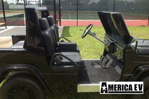 e wagon golf car, e wagon golf cart, e wagon, golf car, golf cart