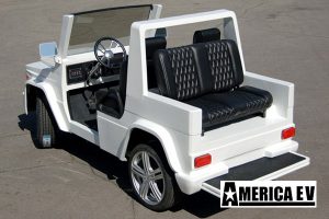 e wagon golf car, e wagon golf cart, e wagon, golf car, golf cart