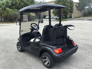 advanced ev 2 passenger golf cart, advanced ev golf cart palm beach