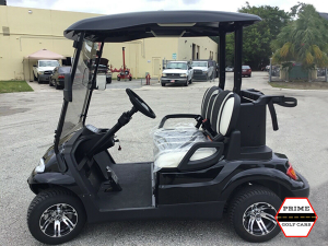 advanced ev 2 passenger golf cart, advanced ev golf cart palm beach