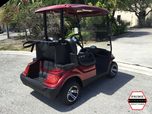 advanced ev 2 passenger golf cart, advanced ev golf cart palm beach