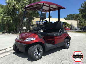 advanced ev 2 passenger golf cart, advanced ev golf cart palm beach