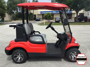 advanced ev 2 passenger golf cart, advanced ev golf cart palm beach