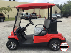 advanced ev 2 passenger golf cart, advanced ev golf cart palm beach