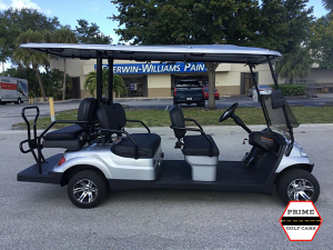 advanced ev 4+2 golf cart, ev 4+2 cart, ev 4+2 cart palm beach