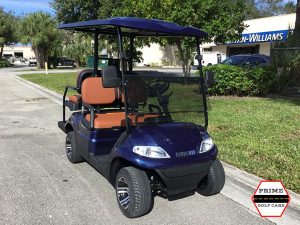 advanced ev 2+2 golf cart, advanced ev golf cart, 2+2 golf cart