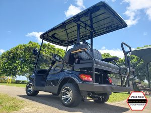 advanced ev 2+2 golf cart, advanced ev golf cart, 2+2 golf cart