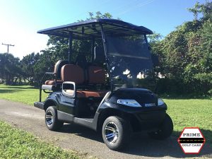 advanced ev 2+2 golf cart, advanced ev golf cart, 2+2 golf cart