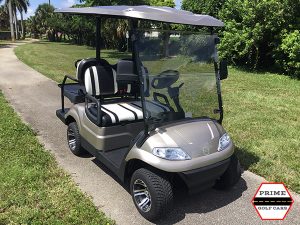 advanced ev 2+2 golf cart, advanced ev golf cart, 2+2 golf cart