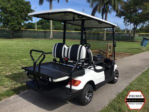 advanced ev 2+2 golf cart, advanced ev golf cart, 2+2 golf cart