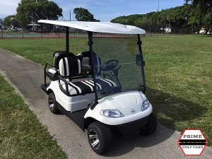 advanced ev 2+2 golf cart, advanced ev golf cart, 2+2 golf cart