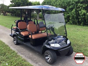 advanced ev 4+2 golf cart, ev 4+2 cart, ev 4+2 cart palm beach