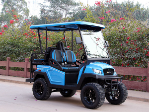 bintelli electric vehicles palm beach, bintelli beyond electric vehicle