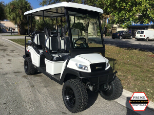 bintelli electric vehicles palm beach, bintelli beyond electric vehicle