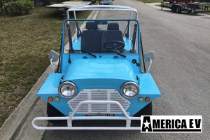 mokee golf cart, mokee golf car, mokee rental, golf cart rental, golf car