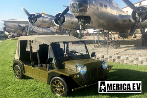 mokee golf cart, mokee golf car, mokee rental, golf cart rental, golf car