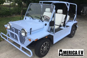 mokee golf cart, mokee golf car, mokee rental, golf cart rental, golf car