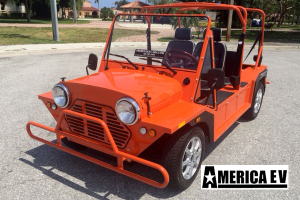 mokee golf cart, mokee golf car, mokee rental, golf cart rental, golf car