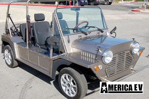 mokee golf cart, mokee golf car, mokee rental, golf cart rental, golf car