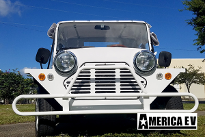 mokee golf cart, mokee golf car, mokee rental, golf cart rental, golf car