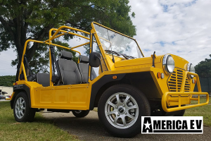 mokee golf cart, mokee golf car, mokee rental, golf cart rental, golf car