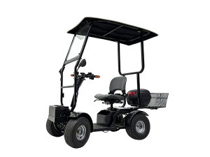 cheetagolf ninja golf cart, single seat golf cart, golf cart