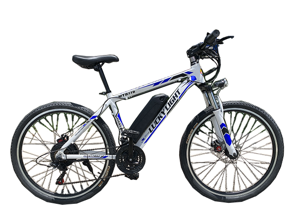 lucky light ebike, electric bike lucky light, street ebike